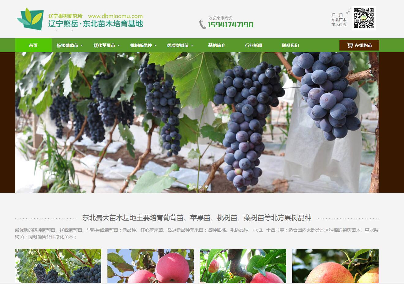 鲅魚(yú)圈微商城開(kāi)發(fā)